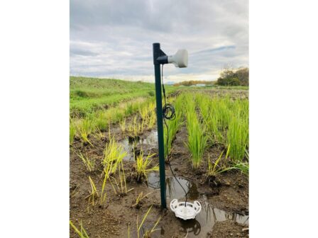 e-Water Sensor（CROPP圧力式水田水位センサー ELTRES™）